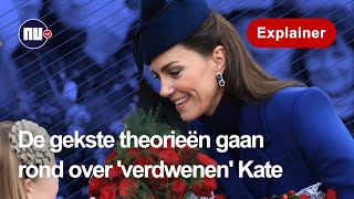 Hoe het internet losgaat op verdwenen prinses  NUnl  Explainer [upl. by Nosylla]