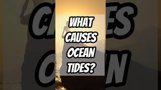 What Causes Ocean Tides shorts ai trivia sea tide moon lunar [upl. by Recha29]