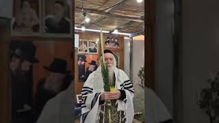 Rabbi Grossman Celebrates Sukkot 2024 [upl. by Adnyleb]