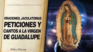 🙏 Oraciones JACULATORIAS PETICIONES Y CANTOS a la Virgen de Guadalupe 📖 [upl. by Gerek155]