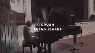 crush tessa violet piano rendition by david ross lawn [upl. by Piselli]