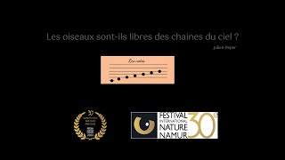 Les oiseaux sontils libres des chaines du ciel [upl. by Mapel]