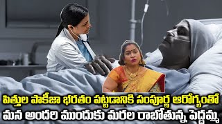 పిత్తుల పాకీజా భరతం పట్టడానికి సంపూర్ణ ఆరోగ్యంతో మన అందరి ముందుకు మరల రాబోతున్న పెద్దమ్మ😊 peddamma [upl. by Arraes67]