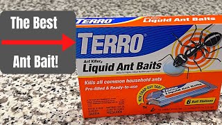 The Best Indoor Ant Killer Terro Liquid Ant Baits [upl. by Nossyla]