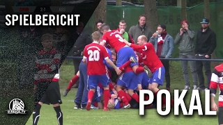 SV HalstenbekRellingen  Altona 93 Halbfinale Pokal der 1 Herren 20162017  Spielbericht [upl. by Retsila]