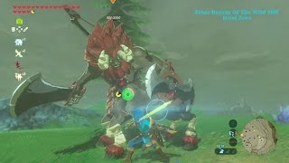 Zelda Breath Of The Wild HS lynel zora [upl. by Nahij]