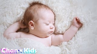 【広告なし】☆☆赤ちゃんが泣き止む＆眠る音シリーズ☆☆砂嵐の音  New Born Baby Stop Crying Sandstorm Sounds for GREAT SLEEP [upl. by Chancellor]