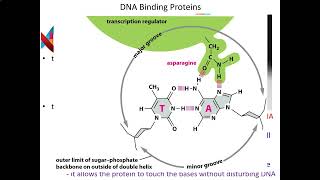 Experimental Techniques in Molecular Biology Part 3 [upl. by Eloisa]