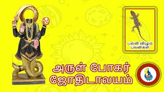 பல்லி விழும் பலன்கள்  palli vilum palangal in Tamil [upl. by Cosme]