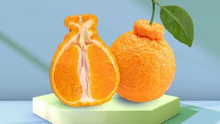 How To Pick Out Perfect Sumo Oranges EVERYTIME [upl. by Nuli]