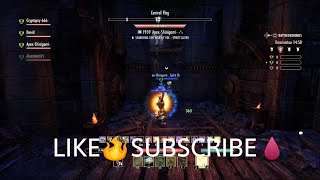 ESO PVP BGDomination  ⚡⚔️🌬️TEMPLAR x WARDEN  🥷Just 2 Killas 🥷 [upl. by Geanine]