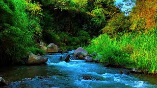 Relaxing river sound of mountain streams for deep sleep mind refreshing stress relief and yoga [upl. by Hgielrebmik]