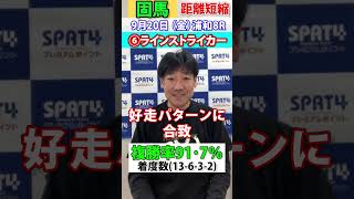 【SPAT4PP】2024･9･20 浦和8R 日刊スポーツ細井記者 固馬予想 競馬 浦和競馬 競馬予想 [upl. by Shedd]