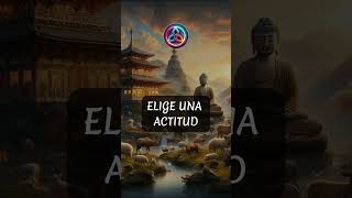 Los SUTRAS de buda  NUNCA JUZGUES HAZ ESTO     Sutra 6 [upl. by Atnuhs]