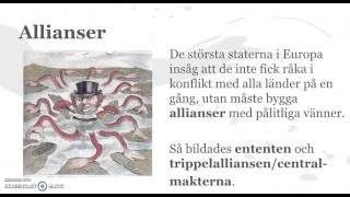 Första världskrigets orsaker [upl. by Aihsenyt]