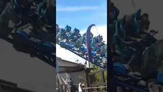 Manta Roller Coaster SeaWorld San Diego seaworld seaworldsandiego seaworldrides [upl. by Ecurb]