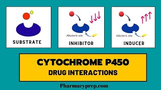 Cytochrome P450 Drug Interactions [upl. by Richela641]