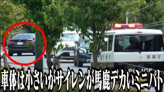 待てコラ！歩行者妨害だ！車体は小さいがサイレンは警らのパトカー越え！？BMWを猛追するミニパト！他・検挙されたのは老人…メチャクチャな運転で歩行者を危険に晒す検挙集【取締り 歩行者妨害】 [upl. by Emmalyn]