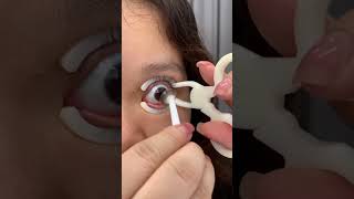 I Tried an Eye Speculum for Contact Lenses shorts lenses [upl. by Lauretta]