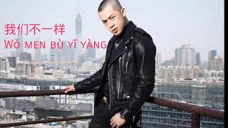 Wo Men Bu Yi Yang  我们不一样 ）Lyrics [upl. by Anerhs88]