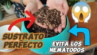 Beneficios de utilizar CASCARILLA DE ARROZ en tu sustrato un elemento increíble para tus plantas [upl. by Asilahs948]