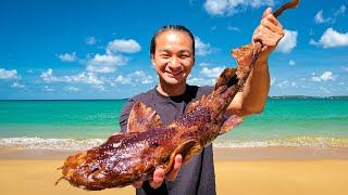 Spearfishing WOBBEGONG SHARK Catch Clean and Cook [upl. by Netneuq]