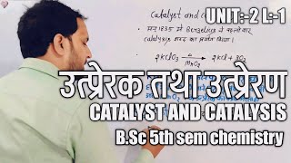 Catalyst and Catalysis in Hindi  Types of Catalyst  BSc 5th sem chemistry [upl. by Shornick]