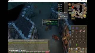 HOW TO GET TO HELLHOUNDS IN TAVERLY DUNGEON  RUNESCAPE [upl. by Bjork155]