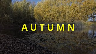 AUTUMN [upl. by Anma]