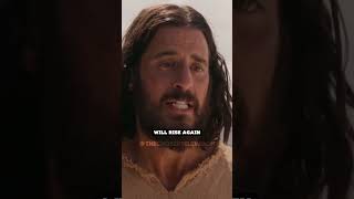 Jesus arrives quotlatequot to Martha😥✝️ The Chosen god jesus bible christianity [upl. by Llenyr]