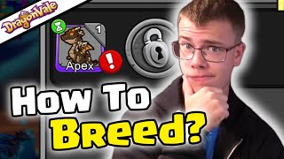 HOW TO BREED APEX DRAGON DRAGONVALE [upl. by Rambert]