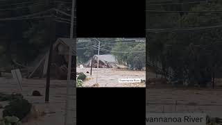 House flows down river and smashes into debris [upl. by Sebbie]