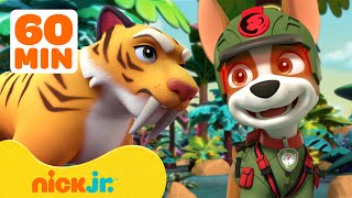 PAW Patrols Jungle Pups Rescue Giant Animals 🐯 w Marshall amp Tracker  1 Hour  Nick Jr [upl. by Peskoff]