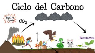 ♻️ Ciclo del Carbono ⚫️ Fácil y Rápido  BIOLOGÍA [upl. by Jerroll868]