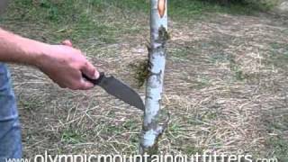 Survival Bow How to build a long bow DIY bow [upl. by Hugon]