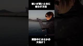 渋い状況で試してほしい 釣り メバリング 魚子チク [upl. by Odlaner]