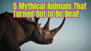 5 Mythical Animals That Turned Out to Be Real [upl. by Iverson376]