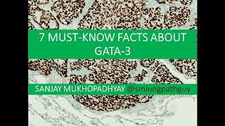 7 must know facts about GATA3 [upl. by Ytirev]