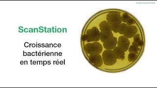 INTERSCIENCE  ScanStation croissance bactérienne  FR [upl. by Adolpho517]