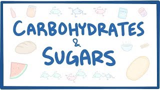 Carbohydrates amp sugars  biochemistry [upl. by Adanar]