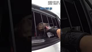 Florida Officer Rescue Dog Locked In Hot Car 90Degree Weather [upl. by Nolyat933]