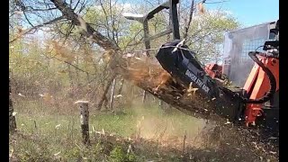 Powerful Skid Steer Disc Mulcher Demo by Swift Fox Industries [upl. by Rhys]