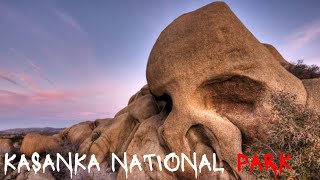 Kasanka national park Horror story by The Diaries of Cursed Adventure [upl. by Stevena]