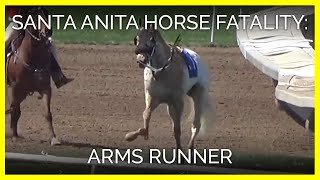 Horse fatality at Santa Anita  Arms Runner March 31 2019 [upl. by Sugna471]