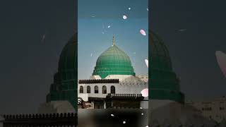 madina Sharifmadina madinamadina [upl. by Durwin]