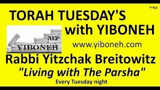 Rabbi Yitzchak Breitowitz Controversy over inclusion of Prophet Ezekiel in the Bible [upl. by Therron852]