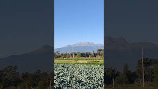 Fumarola Popocatépetl 22Nov24 [upl. by Euqinu]