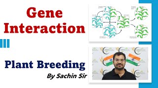 Gene Interaction  Important Concepts of Plant Breeding  By Sachin Sir [upl. by Iosep448]