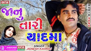 JIGNESH KAVIRAJ  Janu Tari Yaadma  FULL Audio Song  2017 New Song [upl. by Effie]