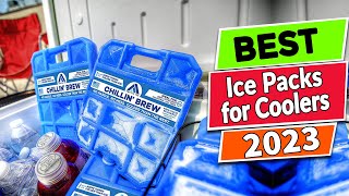 Top 5 Best Ice Packs for Coolers  Complete Guide [upl. by Kahl742]